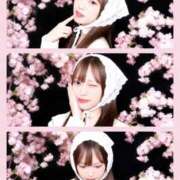 ヒメ日記 2026/04/03 10:13 投稿 きらら BLUE BIRD (ブルーバード) 上越