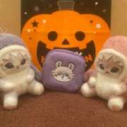 ヒメ日記 2025/09/15 22:15 投稿 さき 秋葉原コスプレ学園in西川口