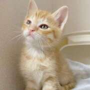 ヒメ日記 2025/09/22 13:00 投稿 さき 秋葉原コスプレ学園in西川口