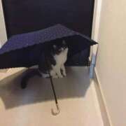 ヒメ日記 2025/10/25 13:23 投稿 石川あさ美 ローテンブルク