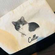 ヒメ日記 2025/12/13 18:40 投稿 石川あさ美 ローテンブルク