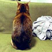 ヒメ日記 2026/01/16 19:46 投稿 石川あさ美 ローテンブルク