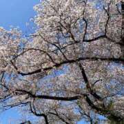 ヒメ日記 2026/02/17 08:15 投稿 石川あさ美 ローテンブルク