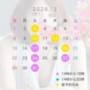 ヒメ日記 2026/02/28 08:15 投稿 石川あさ美 ローテンブルク