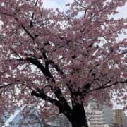 石川あさ美 春見つけた ローテンブルク