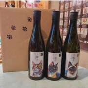 石川あさ美 猫まみれ🐾 ローテンブルク