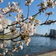 ヒメ日記 2026/04/04 09:06 投稿 石川あさ美 ローテンブルク