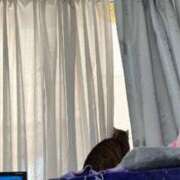 ヒメ日記 2026/04/11 17:42 投稿 石川あさ美 ローテンブルク