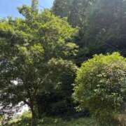 ヒメ日記 2025/08/08 19:32 投稿 しおん ZERO