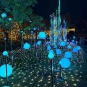 ヒメ日記 2025/11/28 14:57 投稿 しおん ZERO