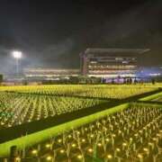 ヒメ日記 2025/12/03 17:56 投稿 しおん ZERO