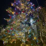 ヒメ日記 2025/12/17 14:30 投稿 しおん ZERO