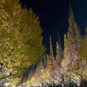 ヒメ日記 2025/12/30 14:08 投稿 しおん ZERO