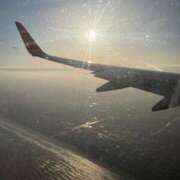 ヒメ日記 2026/04/03 11:15 投稿 しおん ZERO