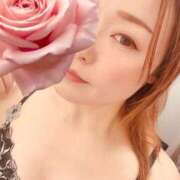 ヒメ日記 2025/12/23 17:40 投稿 福島　礼子 OLピンクコレクション