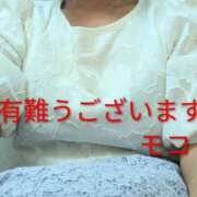 ヒメ日記 2025/08/06 15:07 投稿 もこ 熟女家 堺東店