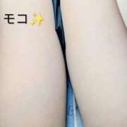 ヒメ日記 2025/09/26 10:02 投稿 もこ 熟女家 堺東店