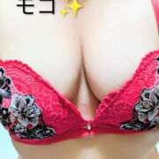 ヒメ日記 2025/10/25 09:00 投稿 もこ 熟女家 堺東店