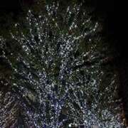 ヒメ日記 2025/11/30 11:13 投稿 もこ 熟女家 堺東店