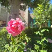 ヒメ日記 2025/07/21 22:20 投稿 白雪姫【シラユキヒメ】 LOVEキタ兎我野店