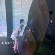 白雪姫【シラユキヒメ】 🌷遅くなりました🌷 LOVEキタ兎我野店