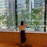 ヒメ日記 2025/12/28 13:13 投稿 白雪姫【シラユキヒメ】 LOVEキタ兎我野店