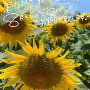 ヒメ日記 2025/08/01 05:20 投稿 岩田みなみ 五十路マダム富山店(カサブランカグループ)