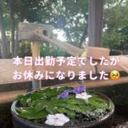 ヒメ日記 2025/09/11 18:06 投稿 岩田みなみ 五十路マダム富山店(カサブランカグループ)