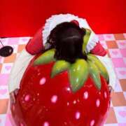 ヒメ日記 2026/01/29 12:17 投稿 える ぷるるんマダム 難波店