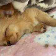 ヒメ日記 2026/02/02 23:51 投稿 える ぷるるんマダム 難波店