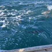 ヒメ日記 2025/11/04 07:37 投稿 武田 まゆみ ベストマダム東金店