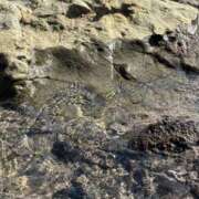 ヒメ日記 2025/11/07 09:53 投稿 武田 まゆみ ベストマダム東金店