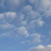 ヒメ日記 2025/11/15 07:55 投稿 武田 まゆみ ベストマダム東金店