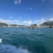 ヒメ日記 2025/11/22 13:25 投稿 武田 まゆみ ベストマダム東金店