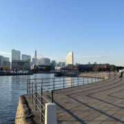 ヒメ日記 2025/11/28 08:13 投稿 武田 まゆみ ベストマダム東金店