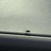 ヒメ日記 2025/12/09 11:57 投稿 武田 まゆみ ベストマダム東金店