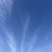 ヒメ日記 2025/12/12 08:00 投稿 武田 まゆみ ベストマダム東金店