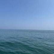 ヒメ日記 2025/12/23 07:23 投稿 武田 まゆみ ベストマダム東金店