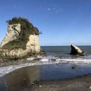 ヒメ日記 2026/01/27 08:01 投稿 武田 まゆみ ベストマダム東金店