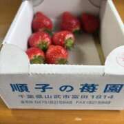 ヒメ日記 2026/02/26 16:40 投稿 武田 まゆみ ベストマダム東金店