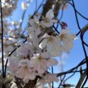 武田 まゆみ おはようございます ベストマダム東金店