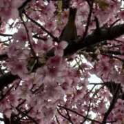 武田 まゆみ おはようございます ベストマダム東金店