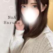 葉流華（はるか） 久しぶりに…いるｯ‼️ NOA（ノア）