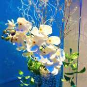 ヒメ日記 2025/10/10 19:03 投稿 るき◆卑猥な口淫テクニック 即イキ淫乱倶楽部 高崎店