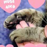 ヒメ日記 2025/11/28 23:02 投稿 あいこ Muse（ミューズ）