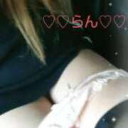 ヒメ日記 2025/07/25 09:31 投稿 ラン 煌-kirameki-