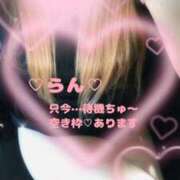 ヒメ日記 2025/08/28 11:03 投稿 ラン 煌-kirameki-