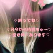 ヒメ日記 2025/09/04 15:42 投稿 ラン 煌-kirameki-