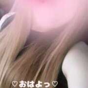 ヒメ日記 2025/09/05 09:47 投稿 ラン 煌-kirameki-