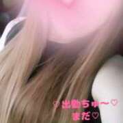 ヒメ日記 2025/09/06 17:08 投稿 ラン 煌-kirameki-